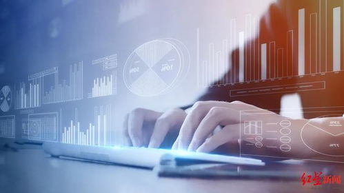 市場化與法治化雙輪驅動 探索企業(yè)強制退出制度的技術咨詢服務新路徑