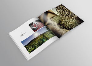 品味巔峰，源自純粹——帝芬諾高端精品咖啡產品宣傳畫冊